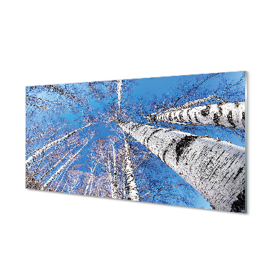 Painel de vidro Céu de bétula