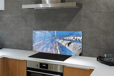 Painel de vidro Céu de bétula