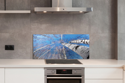 Painel de vidro Céu de bétula