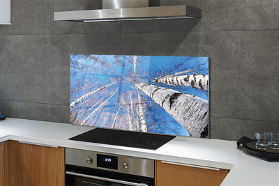 Painel de vidro Céu de bétula