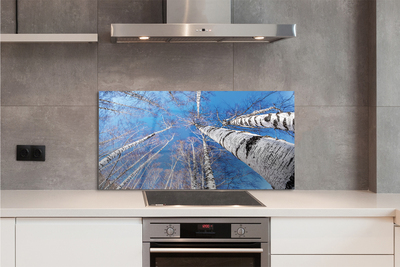 Painel de vidro Céu de bétula