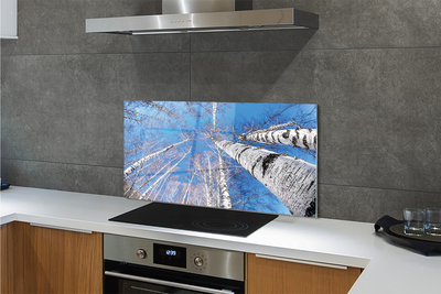 Painel de vidro Céu de bétula