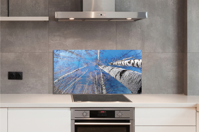 Painel de vidro Céu de bétula