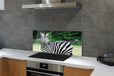 Painel de vidro Campo de zebras