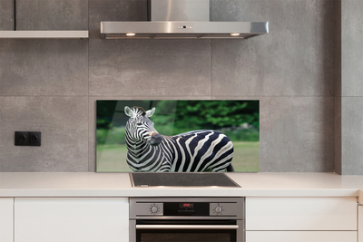 Painel de vidro Campo de zebras