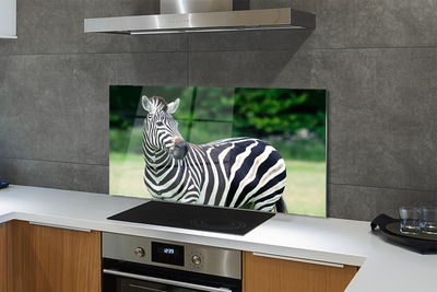 Painel de vidro Campo de zebras