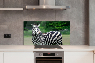 Painel de vidro Campo de zebras