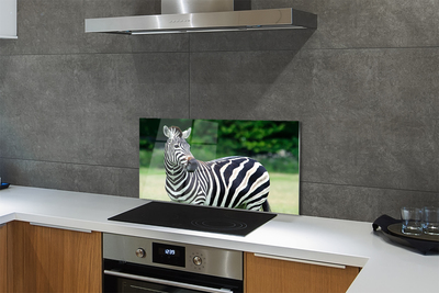 Painel de vidro Campo de zebras
