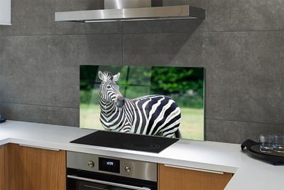 Painel de vidro Campo de zebras