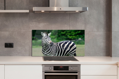 Painel de vidro Campo de zebras