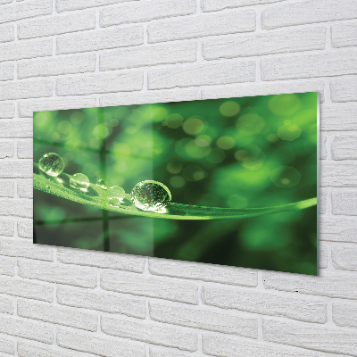 Painel de vidro Macro gotas de água