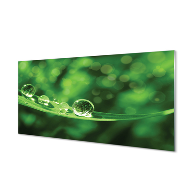 Painel de vidro Macro gotas de água