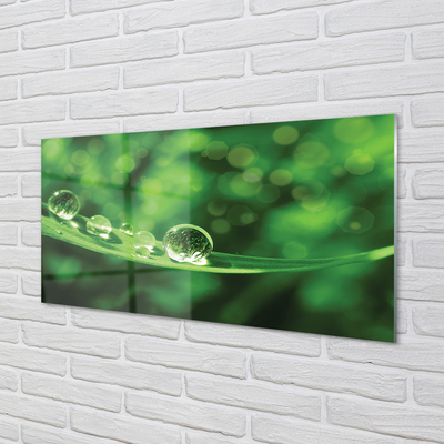 Painel de vidro Macro gotas de água