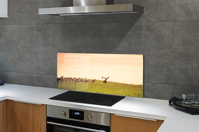 Painel de vidro Manada de veados ao nascer do sol no campo