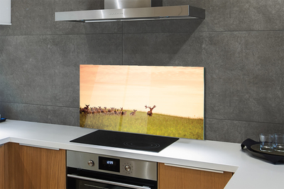 Painel de vidro Manada de veados ao nascer do sol no campo