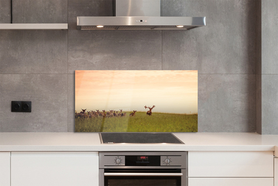 Painel de vidro Manada de veados ao nascer do sol no campo