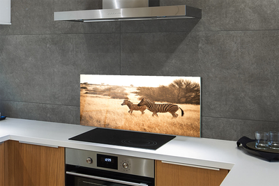 Painel de vidro Pôr do sol no campo de zebras