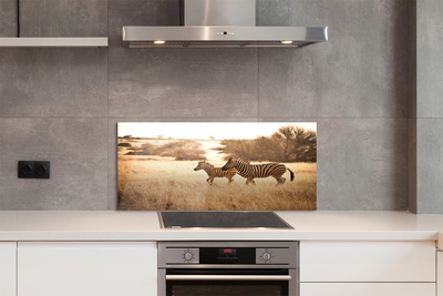 Painel de vidro Pôr do sol no campo de zebras