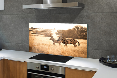 Painel de vidro Pôr do sol no campo de zebras