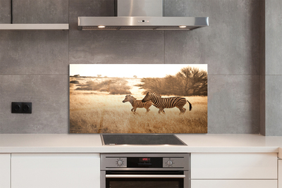 Painel de vidro Pôr do sol no campo de zebras