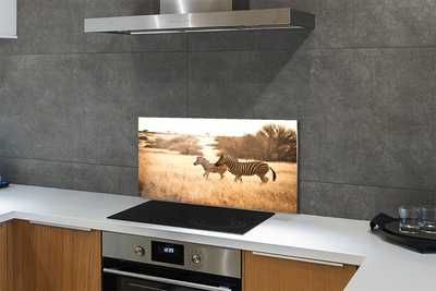 Painel de vidro Pôr do sol no campo de zebras