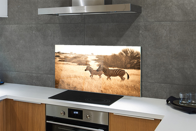 Painel de vidro Pôr do sol no campo de zebras