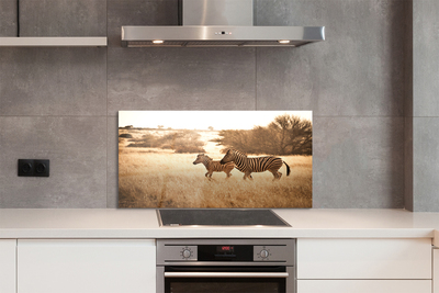 Painel de vidro Pôr do sol no campo de zebras