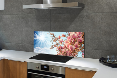 Painel de vidro Magnólia céu sol