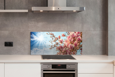 Painel de vidro Magnólia céu sol