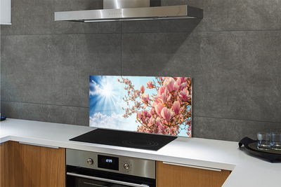 Painel de vidro Magnólia céu sol