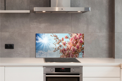 Painel de vidro Magnólia céu sol