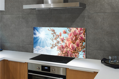 Painel de vidro Magnólia céu sol