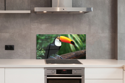 Painel de vidro Tucano em um galho