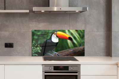 Painel de vidro Tucano em um galho