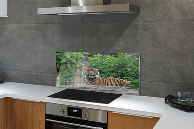 Painel de vidro Floresta do Tigre