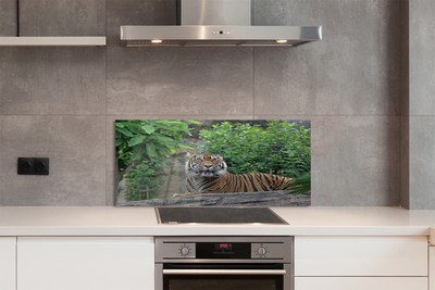 Painel de vidro Floresta do Tigre