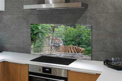 Painel de vidro Floresta do Tigre