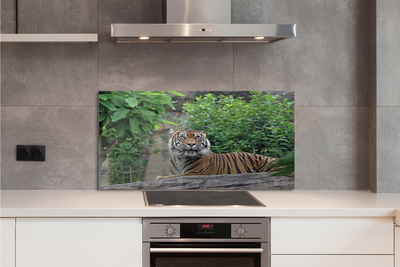 Painel de vidro Floresta do Tigre