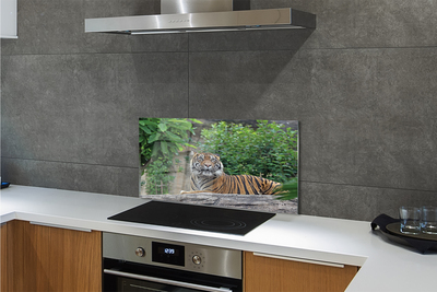 Painel de vidro Floresta do Tigre