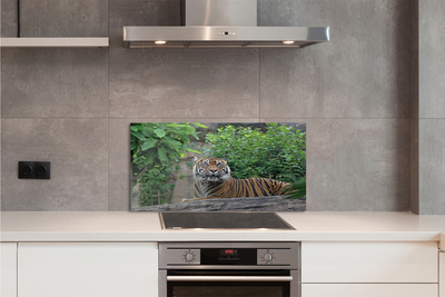 Painel de vidro Floresta do Tigre