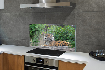 Painel de vidro Floresta do Tigre