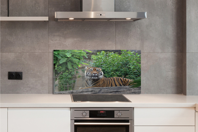 Painel de vidro Floresta do Tigre