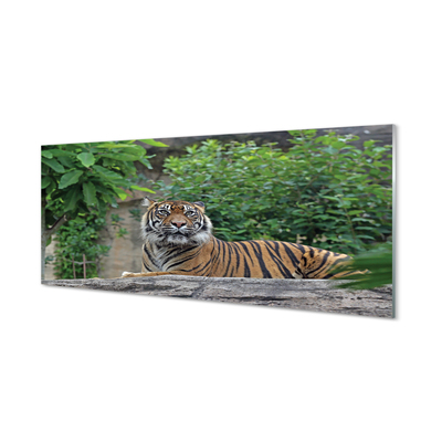 Painel de vidro Floresta do Tigre