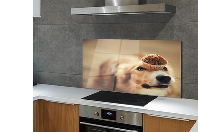 Painel de vidro Bolinho de cachorro