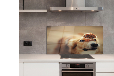 Painel de vidro Bolinho de cachorro