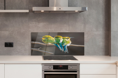 Painel de vidro Pássaros em um galho