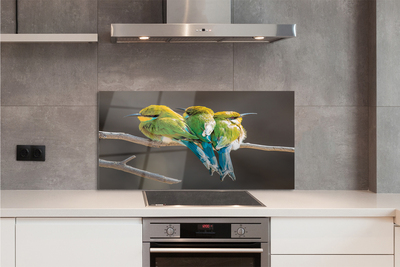 Painel de vidro Pássaros em um galho