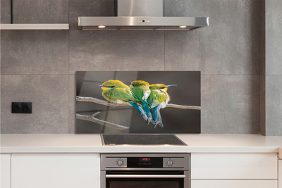 Painel de vidro Pássaros em um galho