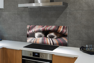 Painel de vidro Cães dormindo