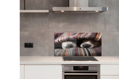 Painel de vidro Cães dormindo